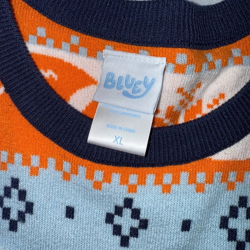 Bluey Box Lunch super cute
